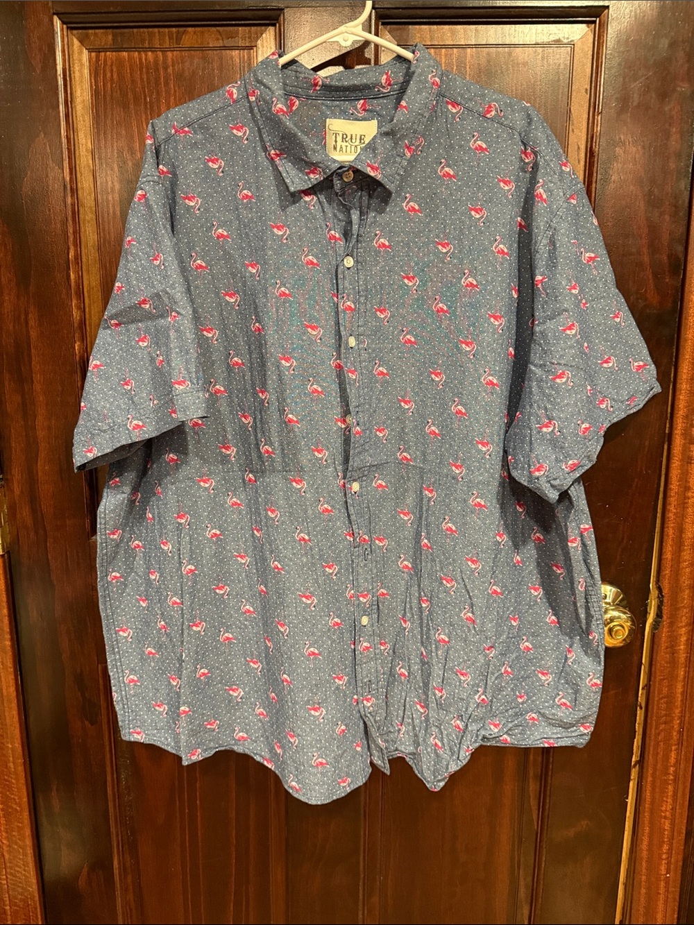 True Nation Men’s Blue Button-Down Shirt with Pink Flamingo Print